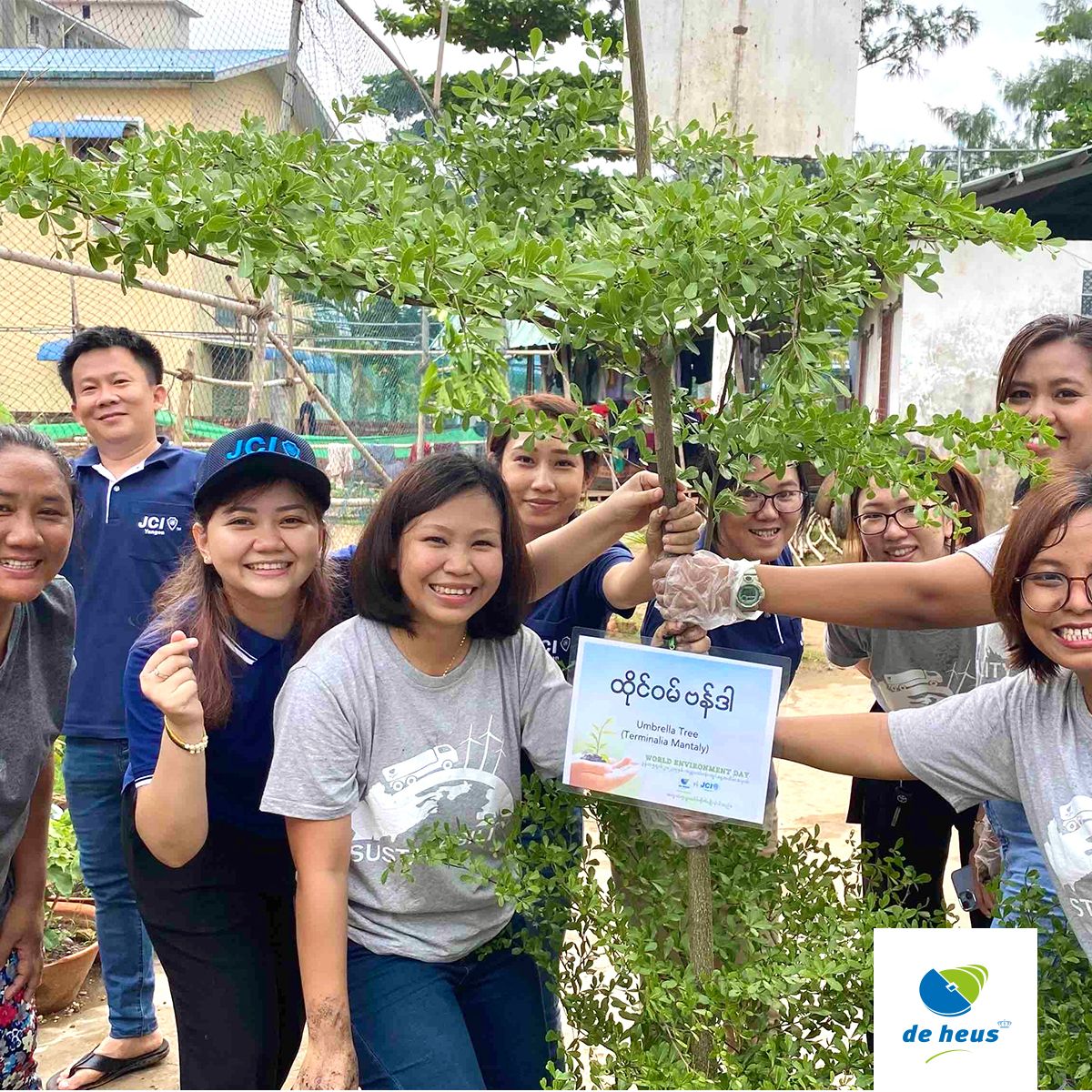 employees plant a umbrella tree, 9 people are holding that plant