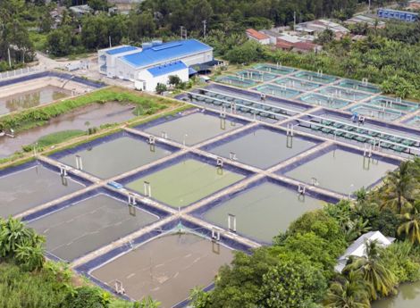 a bird eye view of fish ponds in Asia