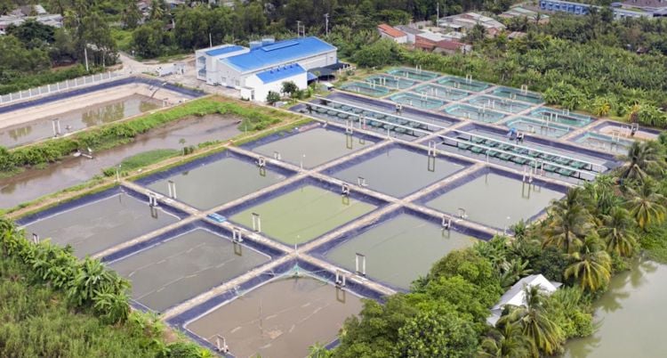 a bird eye view of fish ponds in Asia