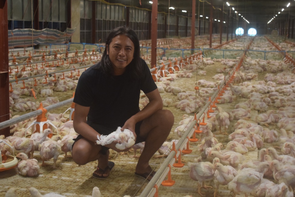 a man holding a white broiler chicken inside of a broiler closed-typed farm.